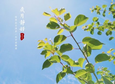 愿歲月靜好，山河無恙